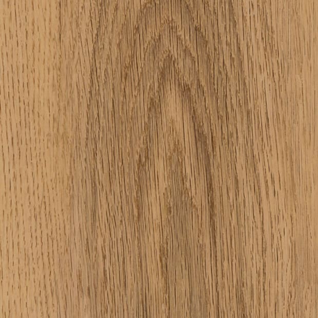 York Oak, AR0W8160