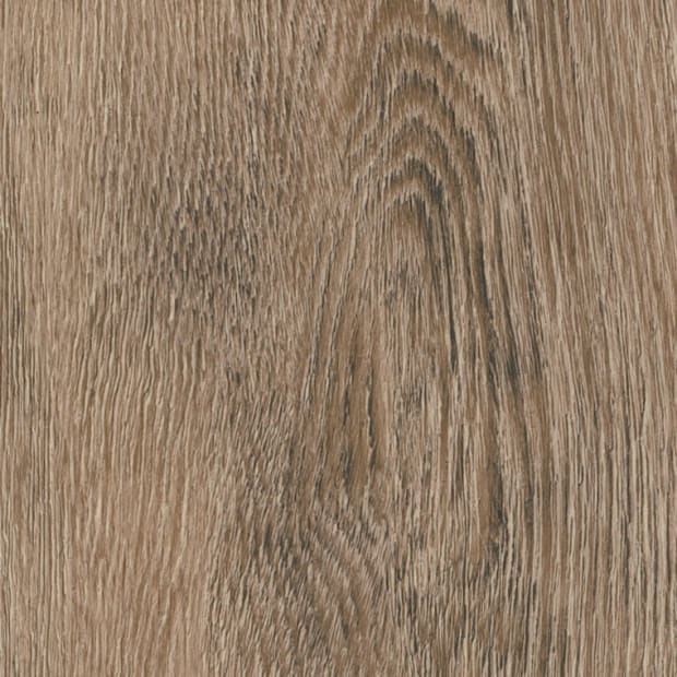 Toulouse Oak, AR0W8430