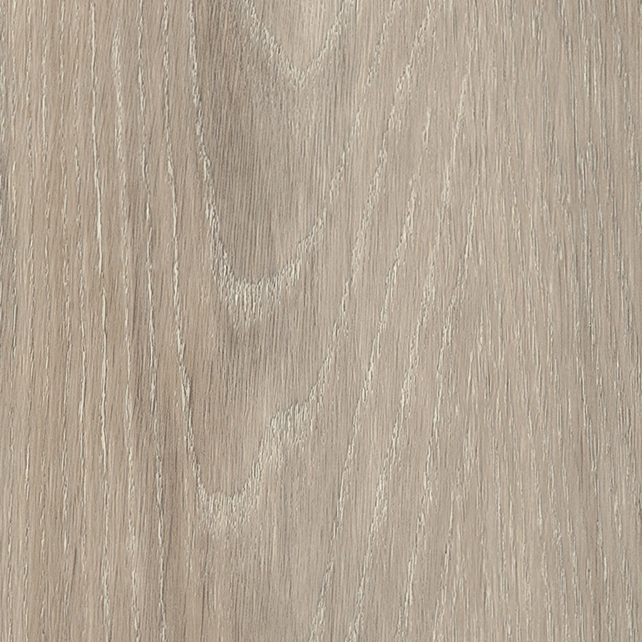 Ashdown Oak