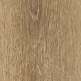 Esker Oak, FS7W6150