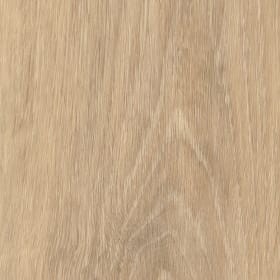 Brae Oak, FS7W6160