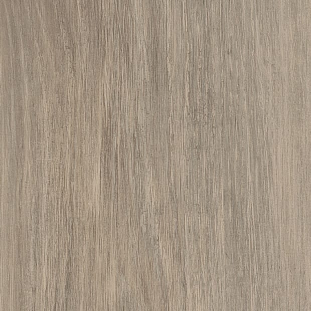 Bergen Oak, FS7W8510