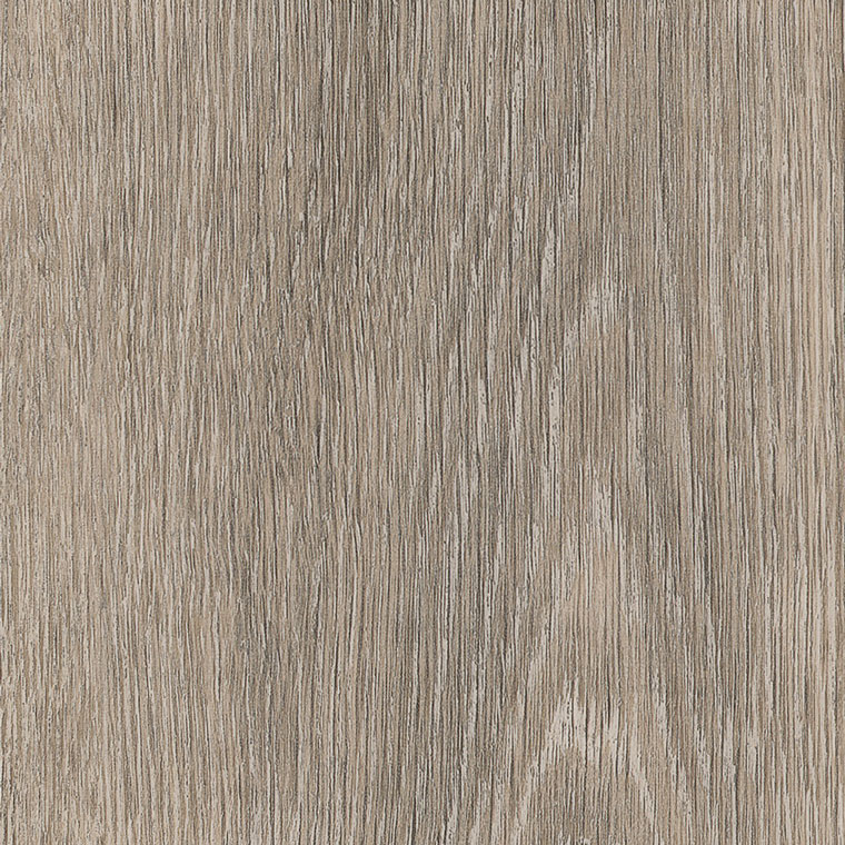 Strand Oak