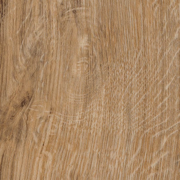 Featured Oak, SB5W2533