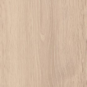 Powdered Oak, SG5W3311